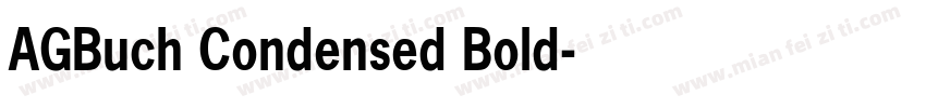 AGBuch Condensed Bold字体转换